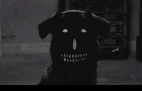 Music Videos We Liked in 2012: Earl Sweatshirt 