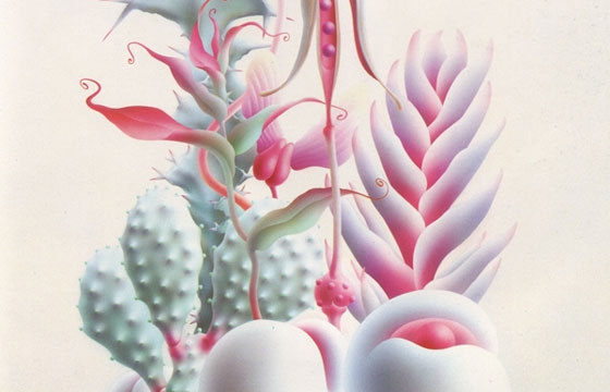Aimei Ozaki's Painted Succulents
