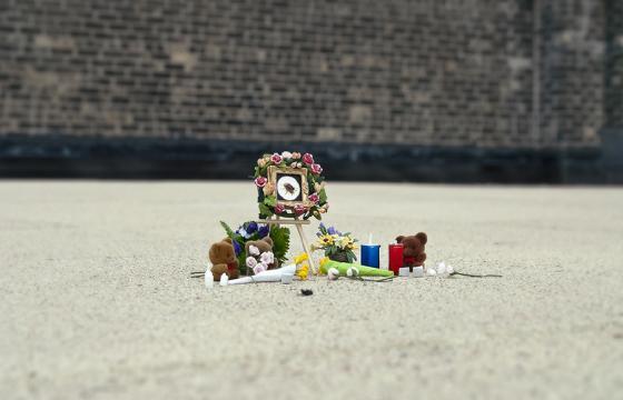 A Roach Remembered: Bug Memorials