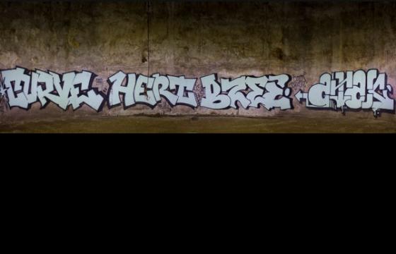 Curve x Hert x Bzee x Atak