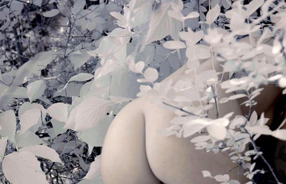 Rhett Rebold