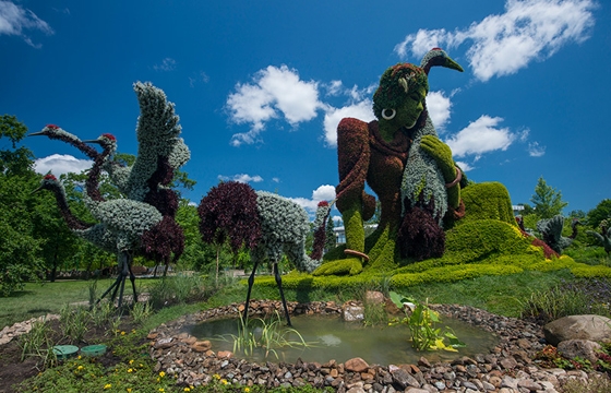 The 2013 Mosaïcultures Internationales de Montréal