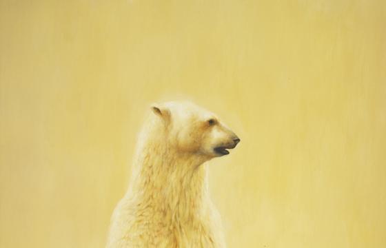Preview: Martin Wittfooth 