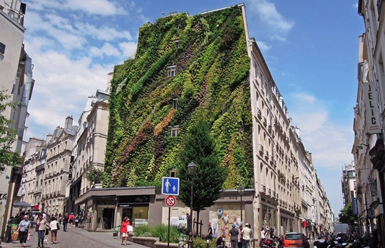 The Oasis of Aboukir, a Vertical Garden in Paris