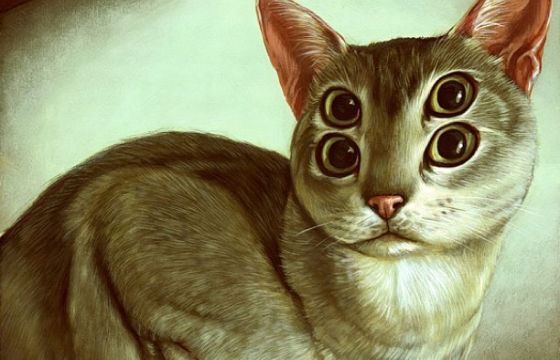 Casey Weldon's Four-Eyed Felines