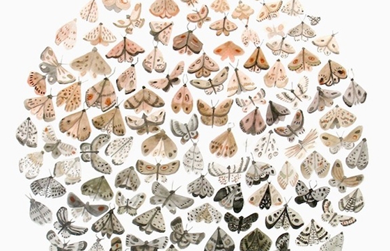 Sarah Burwash's Pioneering Spirit