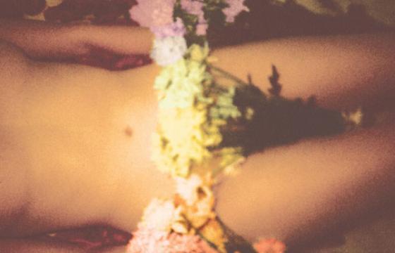 The Photography of Amanda Charchian