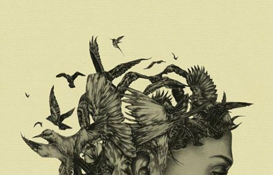 Ross Mcewan's Illustrations