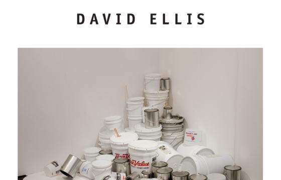 David Ellis 