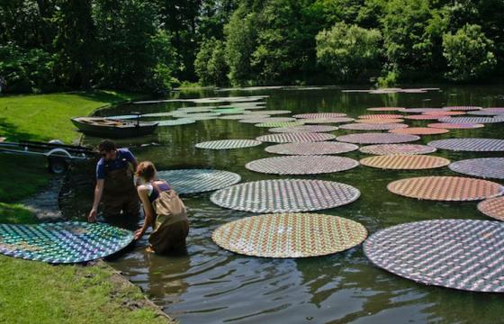 Recycled CDs Make Waterlilies