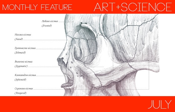 Irene Shkarovska's Lovely Osteology