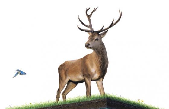 Josh Keyes 