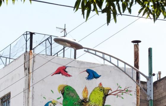 Ericailcane x Hitnes in Mexico City Video