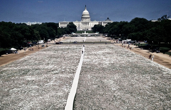 One Million handmade Bones in the National Mall in Washington D.C.
