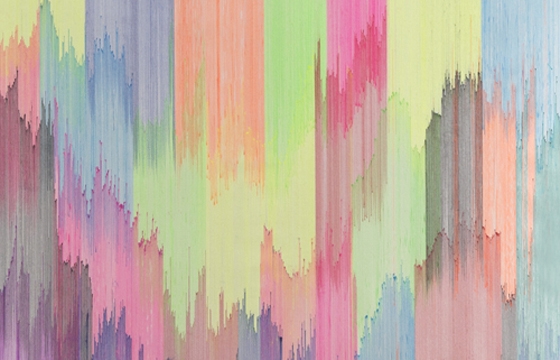 Joan Salo's Pen Drawings on Canvas