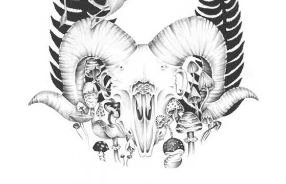 Nicomi Turner's Intricate Renderings