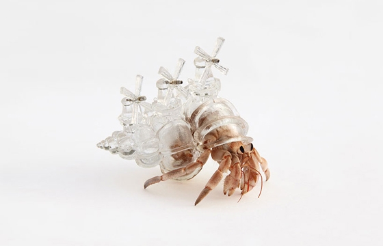 Aki Inomata's Plastic Hermit Crab Habitats