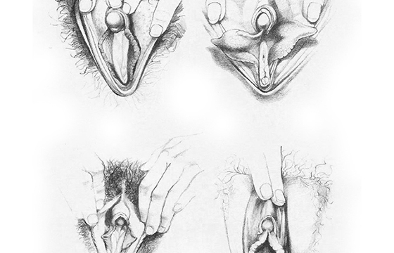 Betty Dodson's Vulva Illustrations NSFW