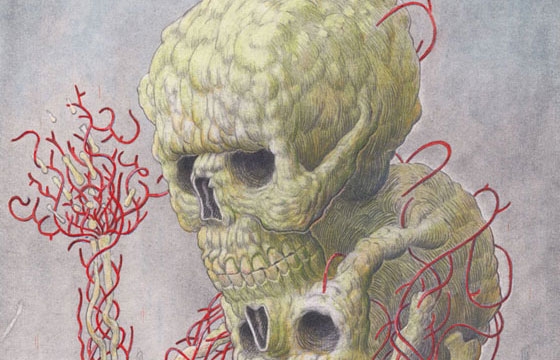 The Work of Nick Sheehy