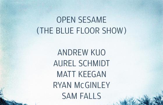 Open Sesame (The Blue Floor Show) Curated by Tim Barber at Asia Song Society