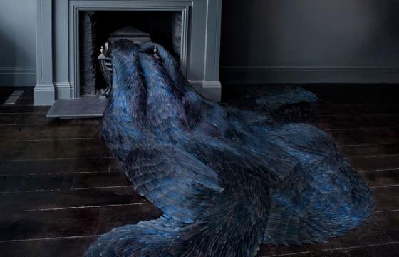 Kate Mccgwire "Lure" @ All Visual Arts Gallery, London