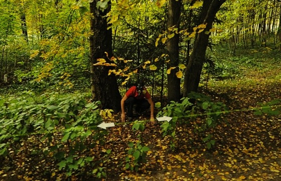 Best of 2013: What One Finds on Google Street View