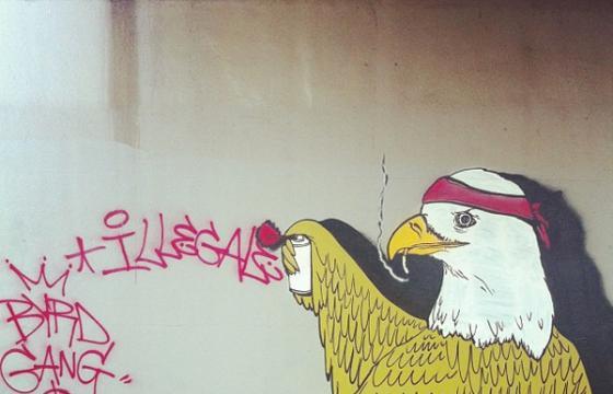 Illegal Eagle