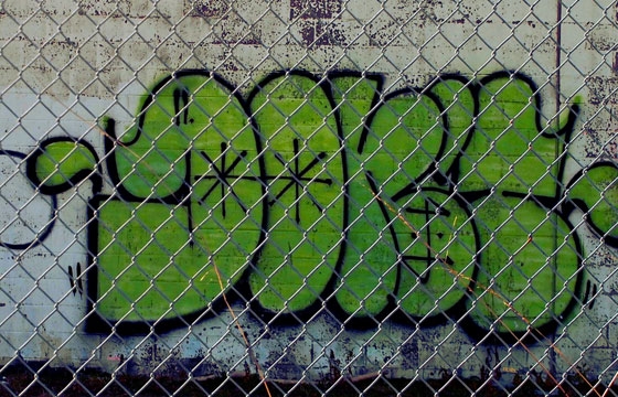 FRIDAY SPOTLIGHT: DONT