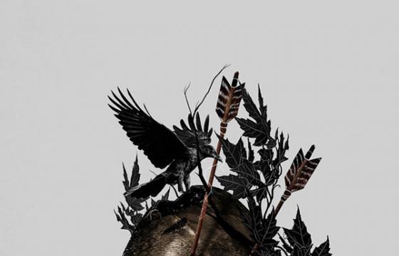 The Work of Nicebleed