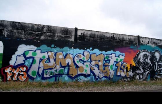 Tomcat