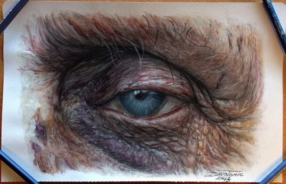 Hyperreal Eye Studies by Dino Tomic