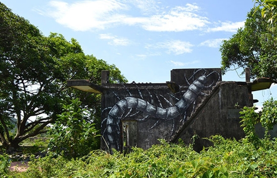 Video: Roa in Cambodia