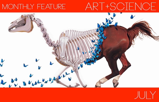 Josh Keyes' Compelling Canvases