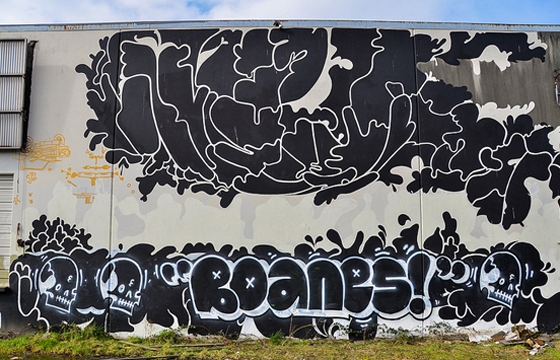 Boanes!