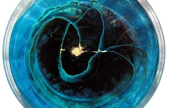 Abstract Petri Dish Paintings by Karli Reis