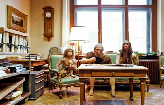 Klaus Pichler: Taxidermy Behind the Scenes