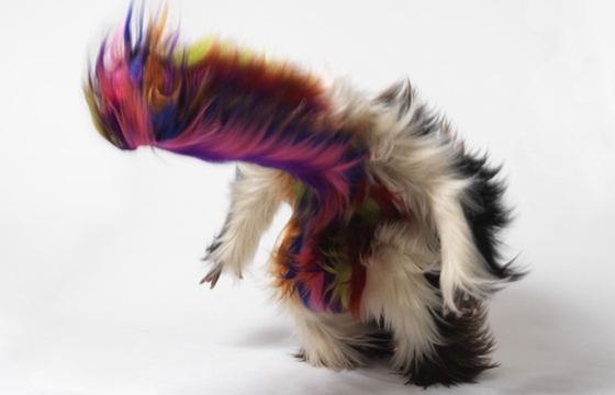Nick Cave's Soundsuits