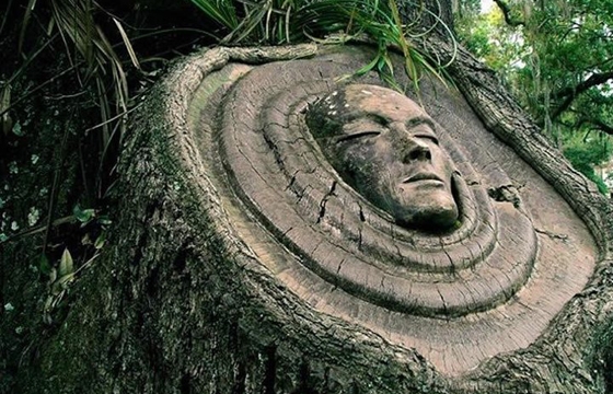 Living Tree Spirit Carvings by Keith Jennings