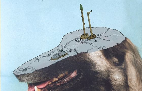 "Pre-segmentalation" by Daniel K Sparkes