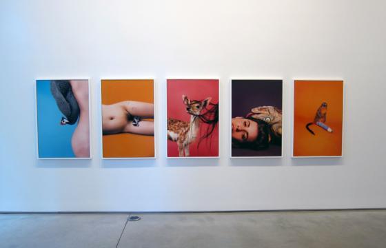 Opening: Ryan McGinley "Animals" & "Grids" @ Team Gallery, NYC