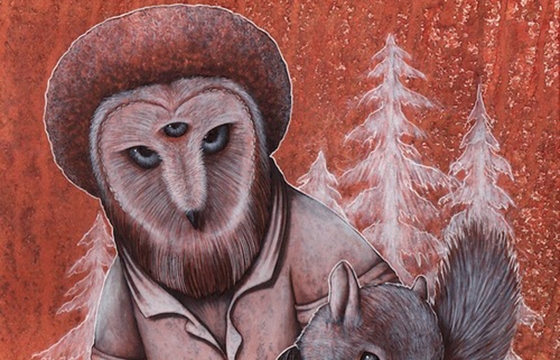 Owls by Shwa Keirstead