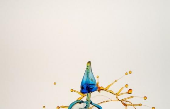 Splashes: High-Speed Photography by Heinz Maier