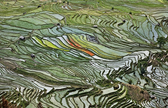 Edward Burtynsky's Aerial Photographs of "Water"