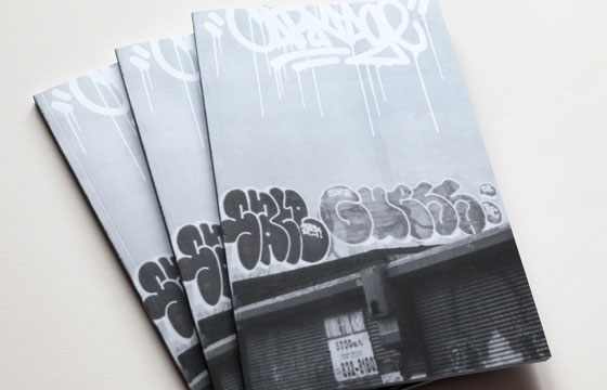 Carnage zine #6 featuring Lions
