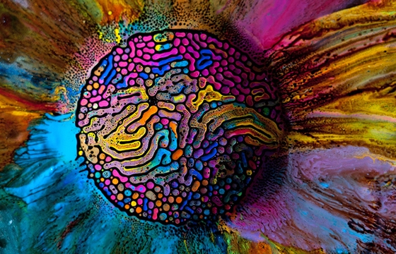 Fabian Oefner's Magnetic Watercolor Photographs