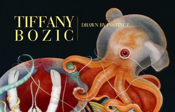 New Book: Tiffany Bozic "Drawn by Instinct"
