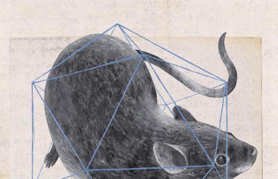 The Work of Milan's Martina Merlini