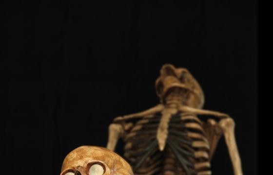 Jean-Marc Laroche's “Lovers from the Hereafter”