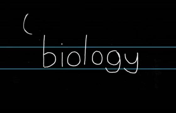 (notes on) biology