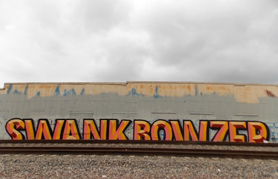 Swank x Bowser trackside